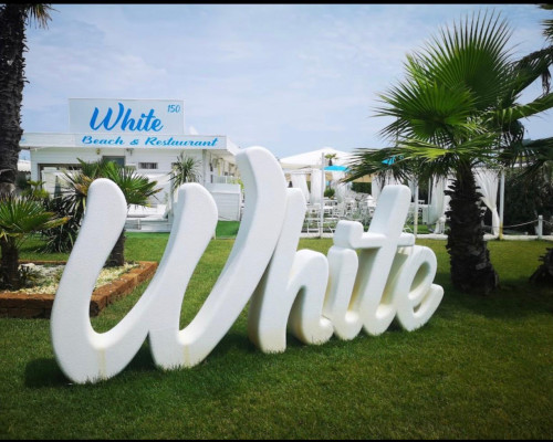 media.WhatsApp Image 2026-02-25 at 13.02.56 (1)