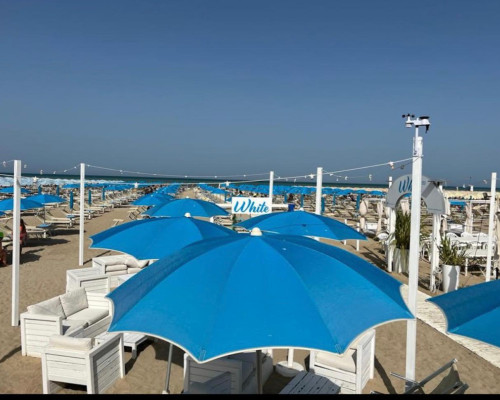 media.WhatsApp Image 2026-02-25 at 13.02.53