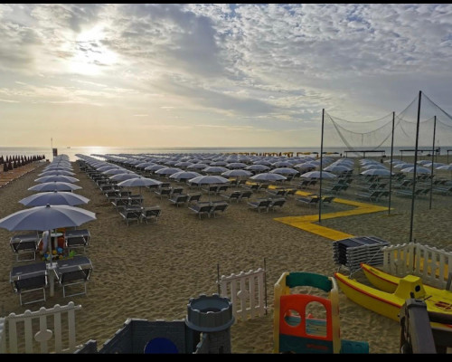 media.WhatsApp Image 2026-02-25 at 13.06.40