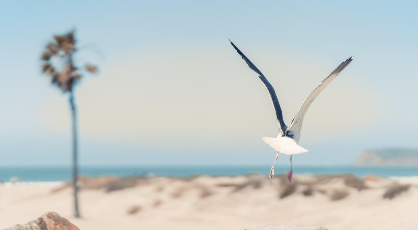 media.offerta maggio 1450x967