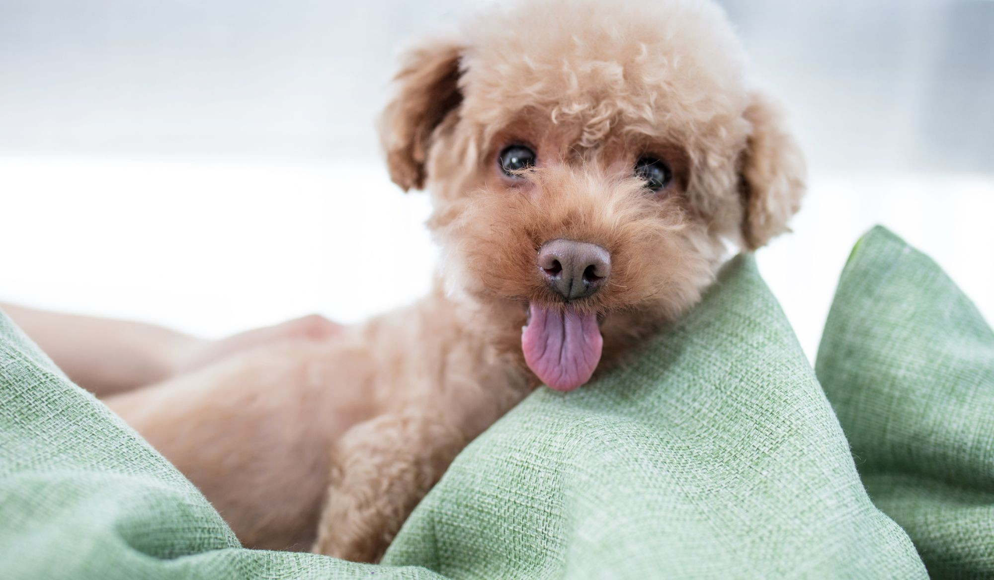 media.slide_servizi_3